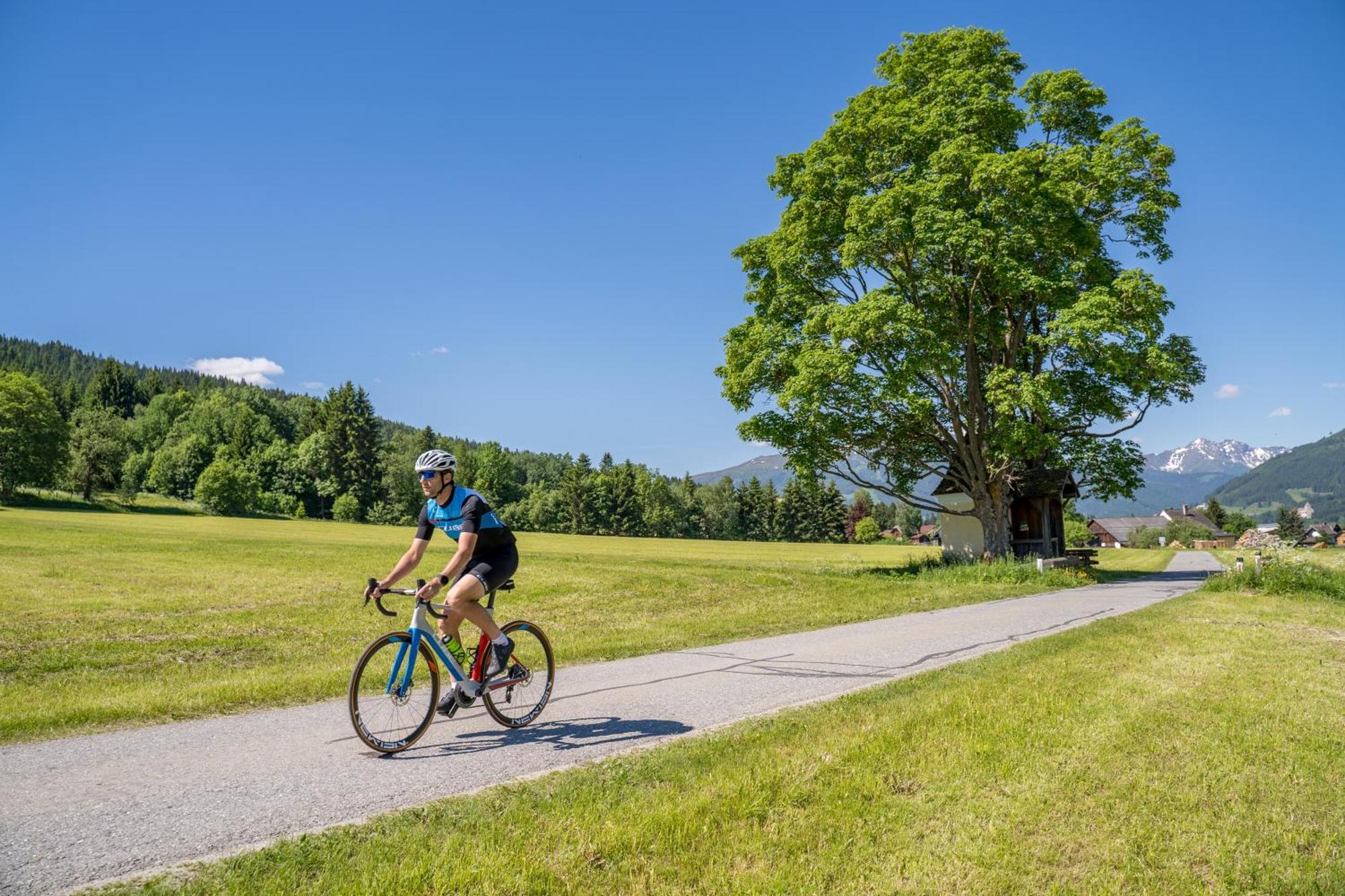Ferienwohnung Davidhof Unternberg Exteriör bild